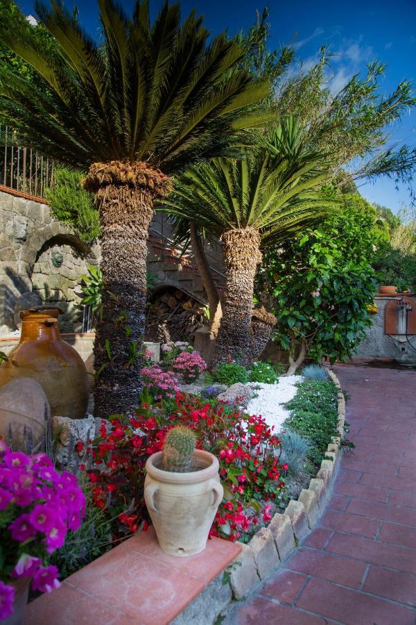 Villa Paradiso Sant'Angelo  Extérieur photo